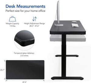 FLEXISPOT EG8 Standing Desk