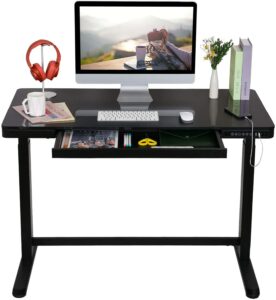 FLEXISPOT EG8 Standing Desk